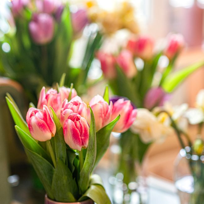 Velikonoční aranžmá s narcisy a tulipány
